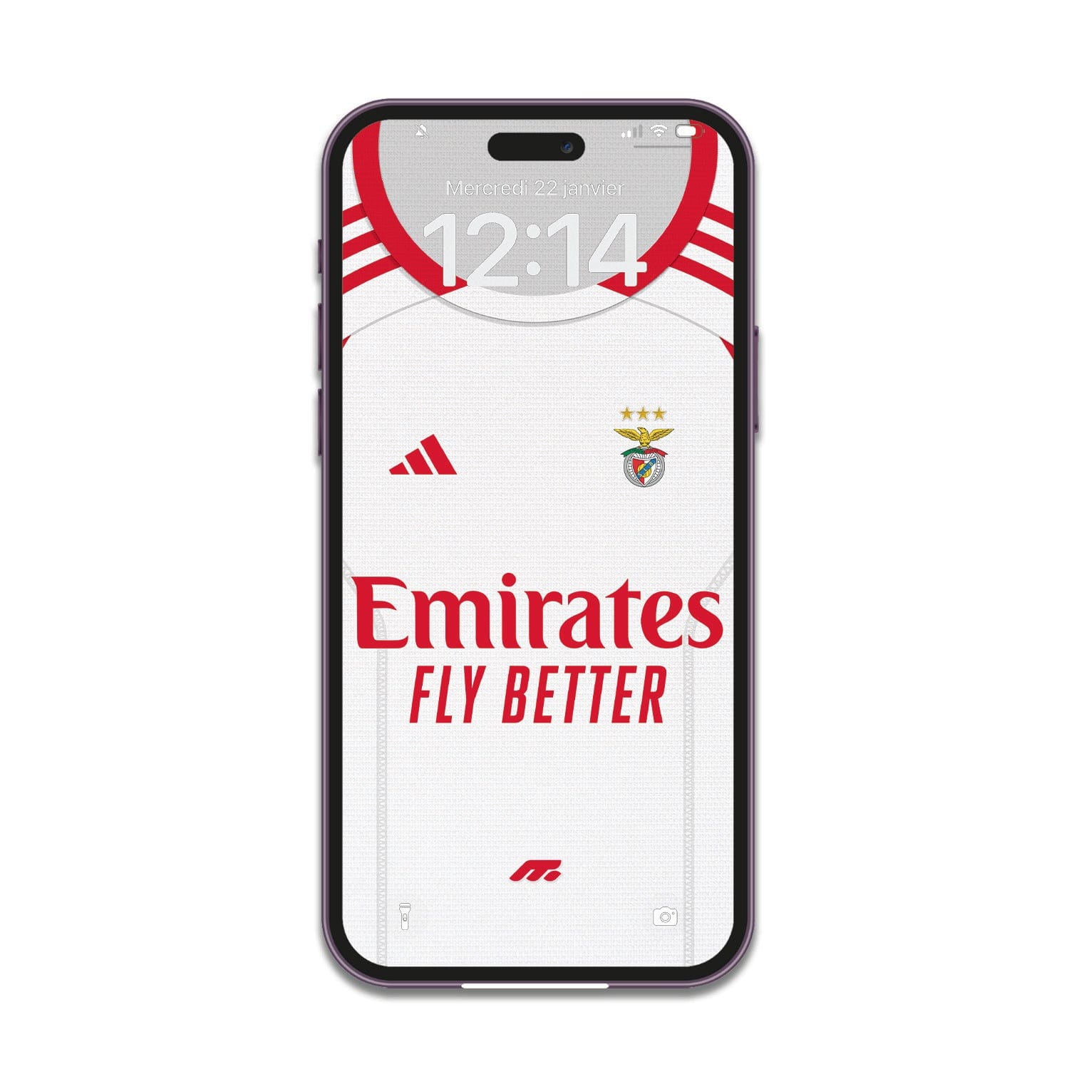 FOND D'ÉCRAN BENFICA - THIRD