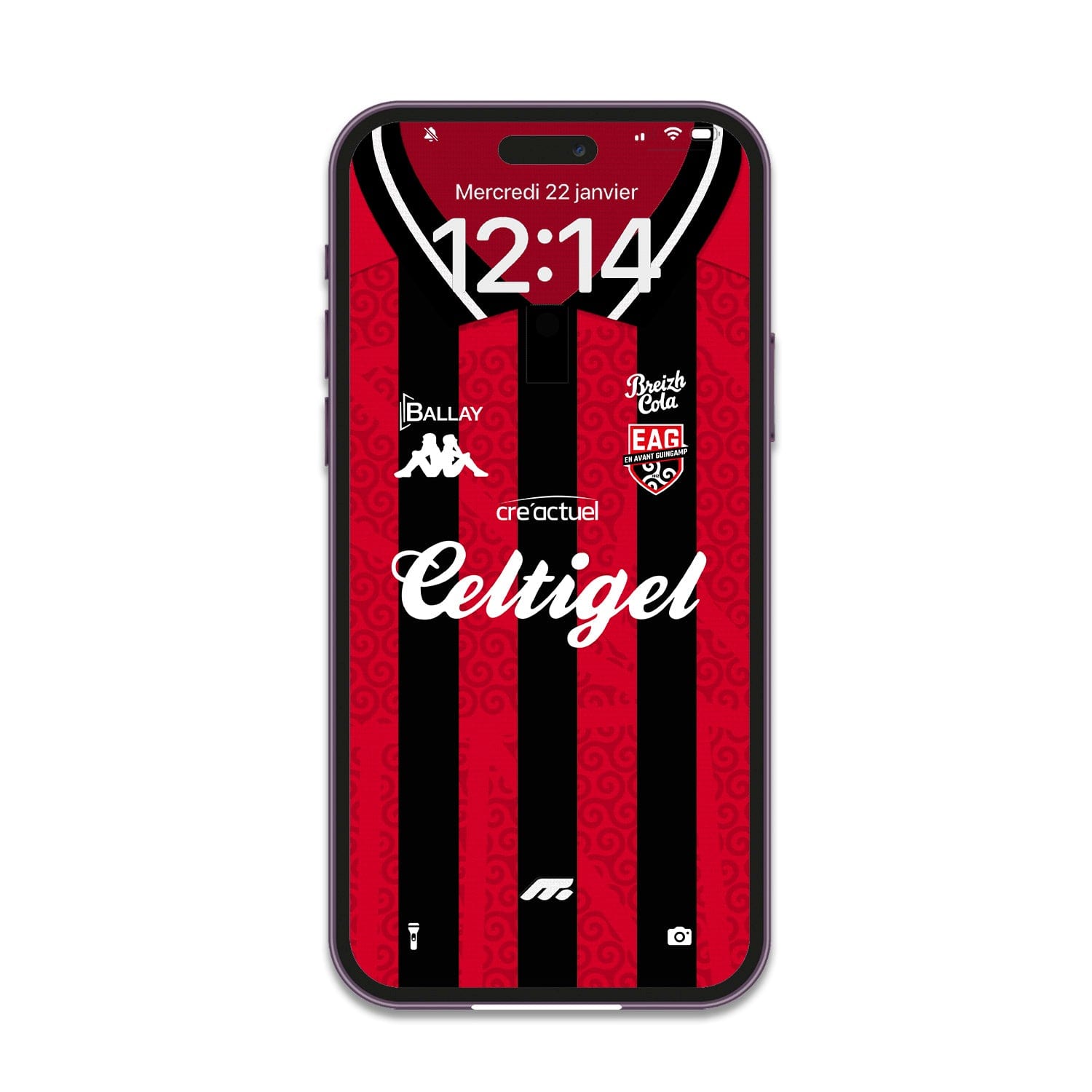 FOND D'ÉCRAN GUINGAMP - DOMICILE
