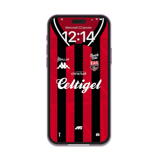 FOND D'ÉCRAN GUINGAMP - DOMICILE